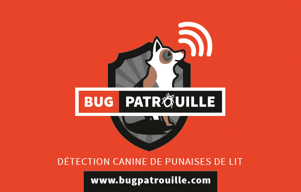 BugPatrouille - D&eacute;tection canine de punaises de lit